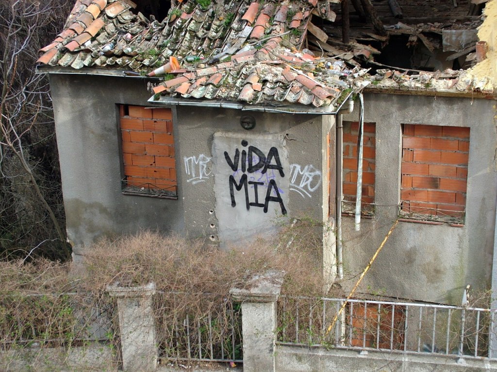 Vida mía